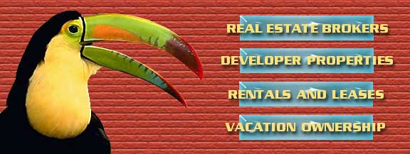 Real Estate Options